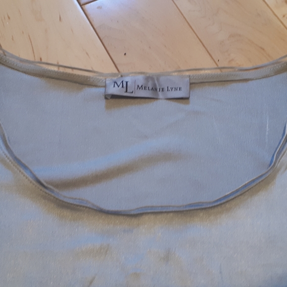 ⭐2/$25 EUC Silvery Melanie Lyne Camisole - Picture 2 of 5